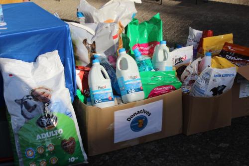 IMG 0336